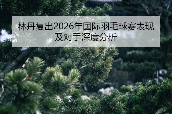 lin-dan-fu-chu-nian-guo-ji-yu-mao-qiu-sai-biao-xian-ji-dui-shou-shen-du-fen-xi-2-762.jpg