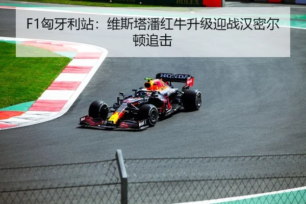 F1匈牙利站：维斯塔潘红牛升级迎战汉密尔顿追击